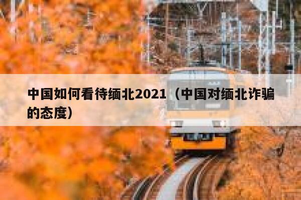中国如何看待缅北2021（中国对缅北诈骗的态度） 第1张