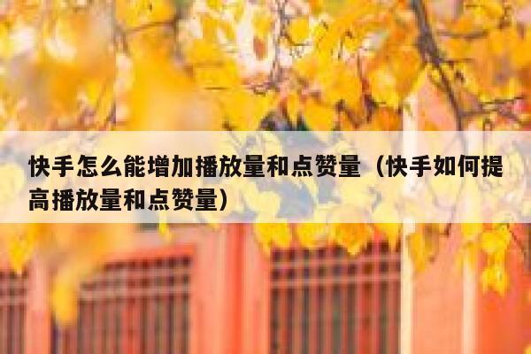 快手怎么能增加播放量和点赞量（快手如何提高播放量和点赞量） 第1张