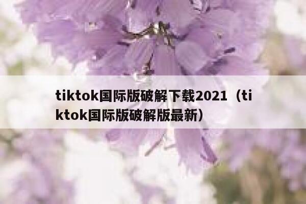 tiktok国际版破解下载2021（tiktok国际版破解版最新） 第1张
