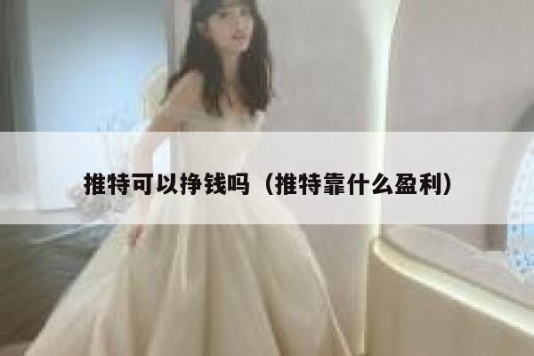 推特可以挣钱吗（推特靠什么盈利） 第1张
