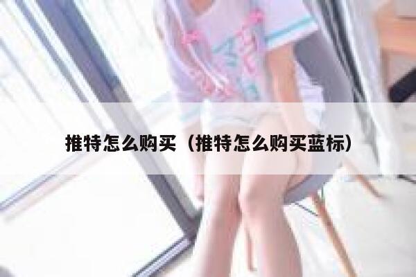 推特怎么购买（推特怎么购买蓝标） 第1张