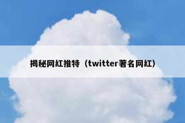 揭秘网红推特（twitter著名网红） 第1张