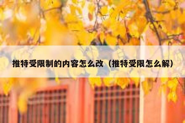 推特受限制的内容怎么改（推特受限怎么解） 第1张