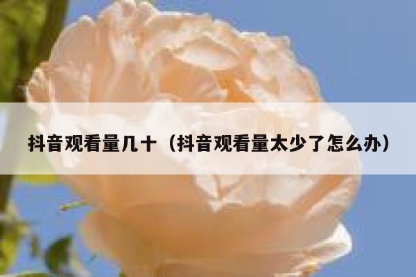 抖音观看量几十（抖音观看量太少了怎么办） 第1张
