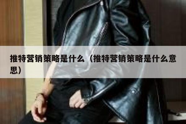 推特营销策略是什么（推特营销策略是什么意思） 第1张