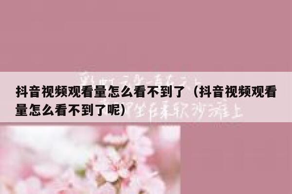 抖音视频观看量怎么看不到了（抖音视频观看量怎么看不到了呢） 第1张