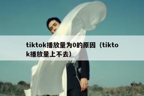 tiktok播放量为0的原因（tiktok播放量上不去） 第1张