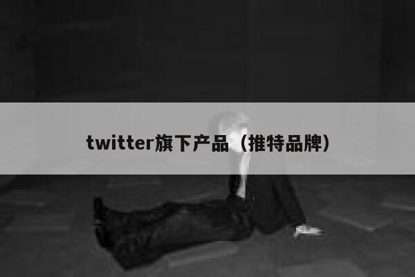 twitter旗下产品（推特品牌） 第1张