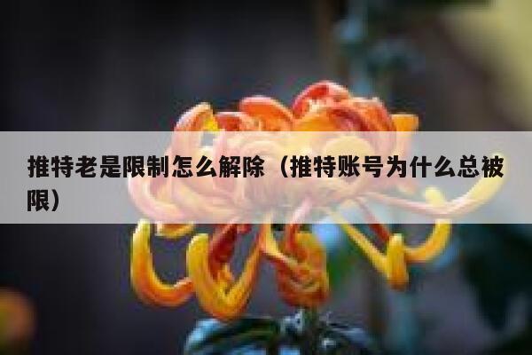 推特老是限制怎么解除（推特账号为什么总被限） 第1张
