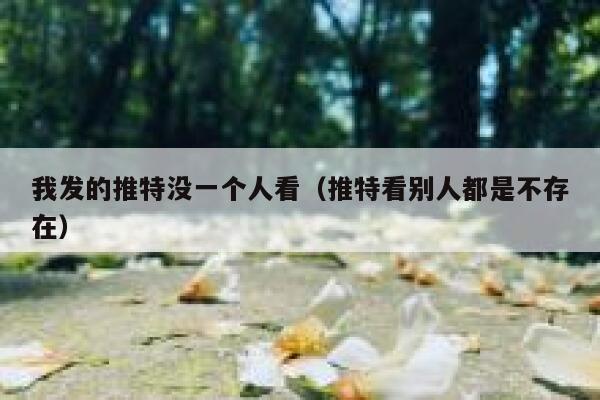 我发的推特没一个人看（推特看别人都是不存在） 第1张