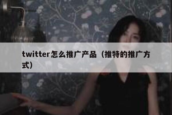 twitter怎么推广产品（推特的推广方式） 第1张