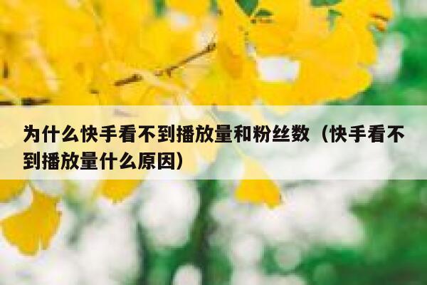 为什么快手看不到播放量和粉丝数（快手看不到播放量什么原因） 第1张