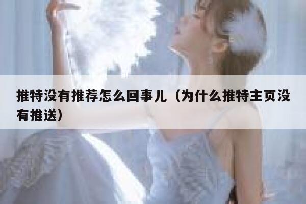 推特没有推荐怎么回事儿（为什么推特主页没有推送） 第1张