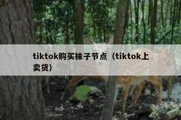 tiktok购买袜子节点(tiktok上卖货) 第1张 tiktok购买袜子节点(tiktok上卖货) 第1张