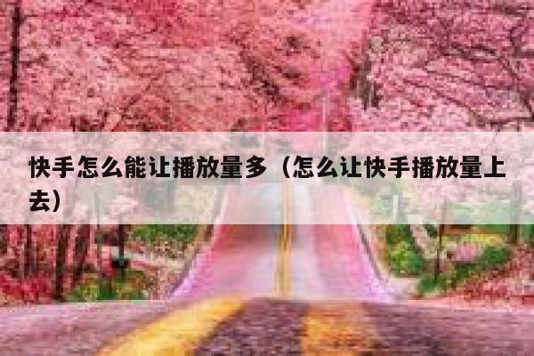 快手怎么能让播放量多（怎么让快手播放量上去） 第1张