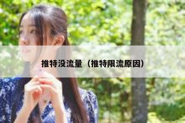 推特没流量（推特限流原因） 第1张