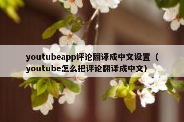 youtubeapp评论翻译成中文设置（youtube怎么把评论翻译成中文） 第1张