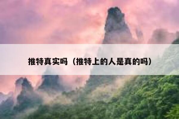 推特真实吗（推特上的人是真的吗） 第1张