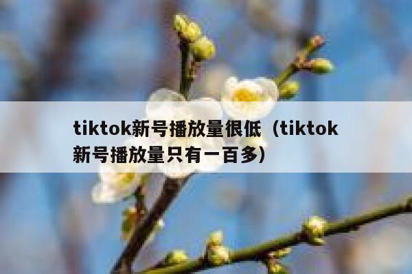 tiktok新号播放量很低（tiktok新号播放量只有一百多） 第1张