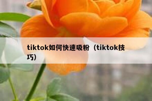 tiktok如何快速吸粉（tiktok技巧） 第1张