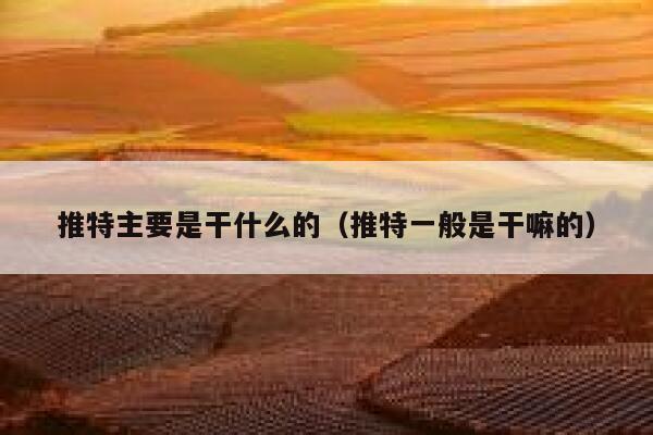 推特主要是干什么的（推特一般是干嘛的） 第1张