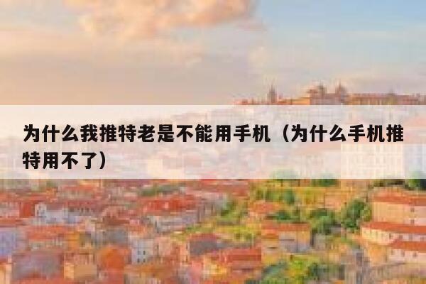 为什么我推特老是不能用手机（为什么手机推特用不了） 第1张
