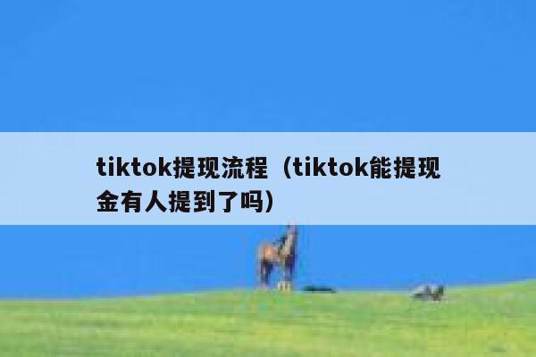 tiktok提现流程（tiktok能提现金有人提到了吗） 第1张