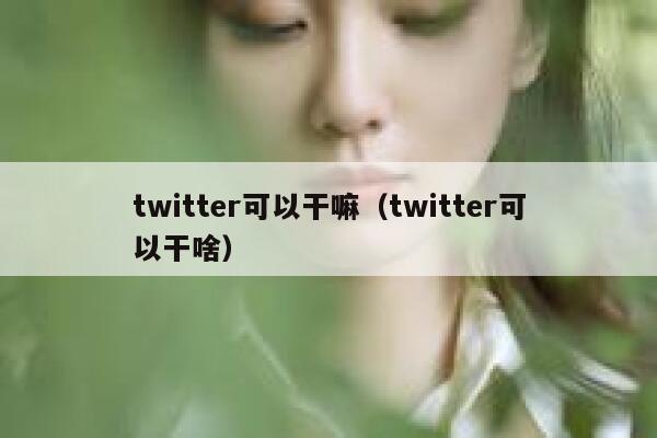 twitter可以干嘛（twitter可以干啥） 第1张