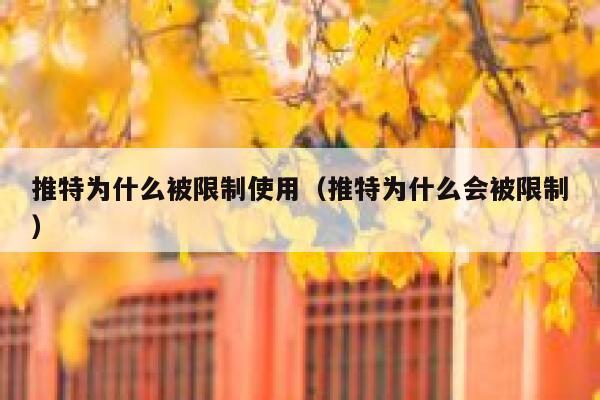 推特为什么被限制使用（推特为什么会被限制） 第1张