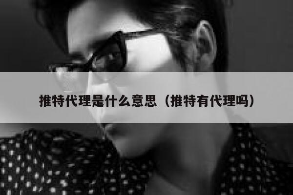 推特代理是什么意思（推特有代理吗） 第1张