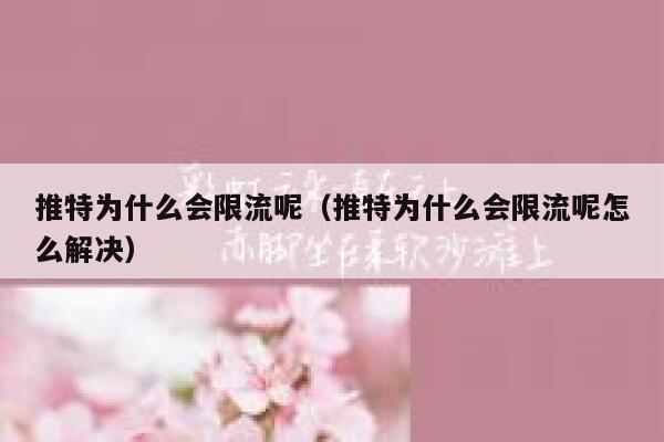 推特为什么会限流呢（推特为什么会限流呢怎么解决） 第1张