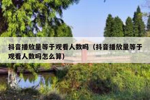 抖音播放量等于观看人数吗（抖音播放量等于观看人数吗怎么算） 第1张
