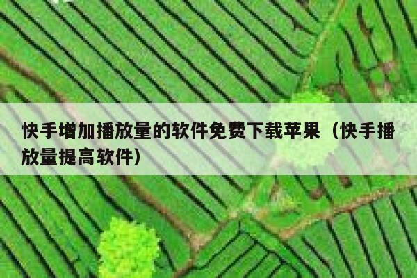 快手增加播放量的软件免费下载苹果（快手播放量提高软件） 第1张