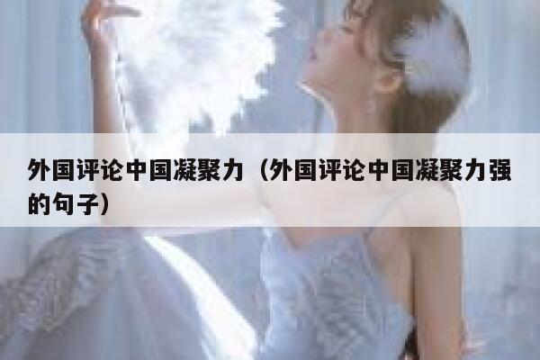 外国评论中国凝聚力（外国评论中国凝聚力强的句子） 第1张