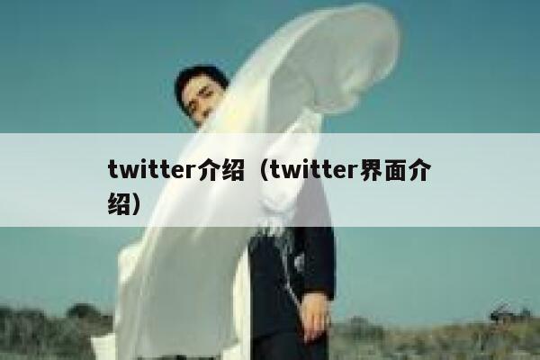 twitter介绍（twitter界面介绍） 第1张