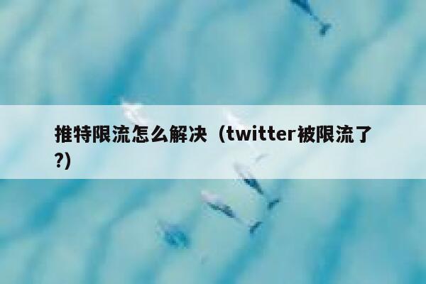 推特限流怎么解决（twitter被限流了?） 第1张