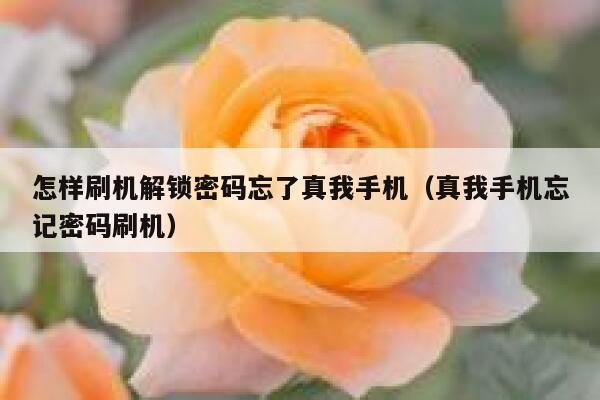 怎样刷机解锁密码忘了真我手机（真我手机忘记密码刷机） 第1张