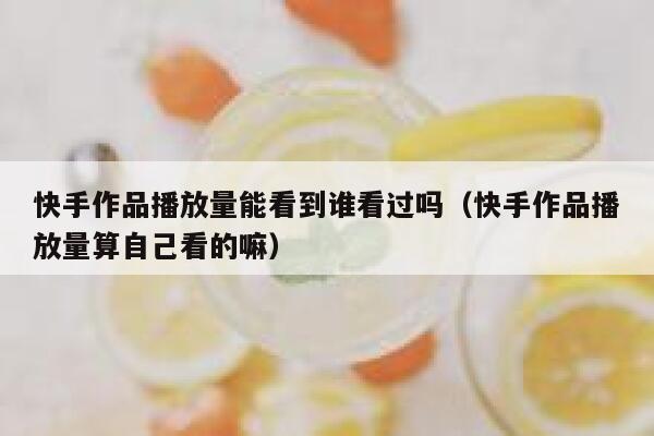 快手作品播放量能看到谁看过吗（快手作品播放量算自己看的嘛） 第1张