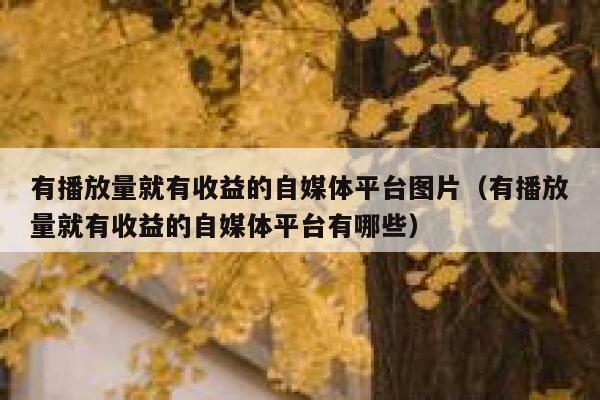 有播放量就有收益的自媒体平台图片（有播放量就有收益的自媒体平台有哪些） 第1张