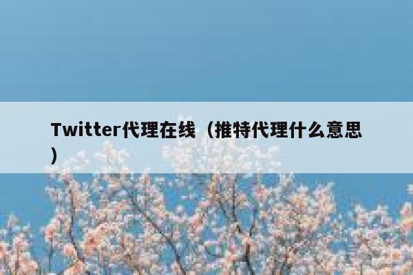 Twitter代理在线（推特代理什么意思） 第1张