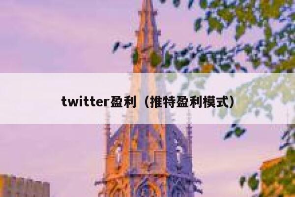 twitter盈利（推特盈利模式） 第1张