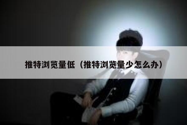 推特浏览量低（推特浏览量少怎么办） 第1张