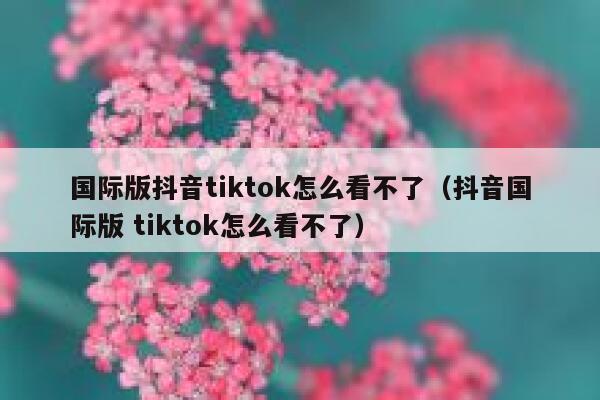 国际版抖音tiktok怎么看不了（抖音国际版 tiktok怎么看不了） 第1张