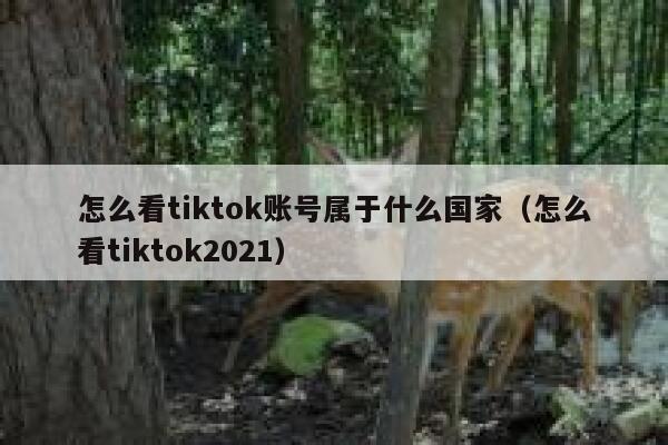 怎么看tiktok账号属于什么国家（怎么看tiktok2021） 第1张