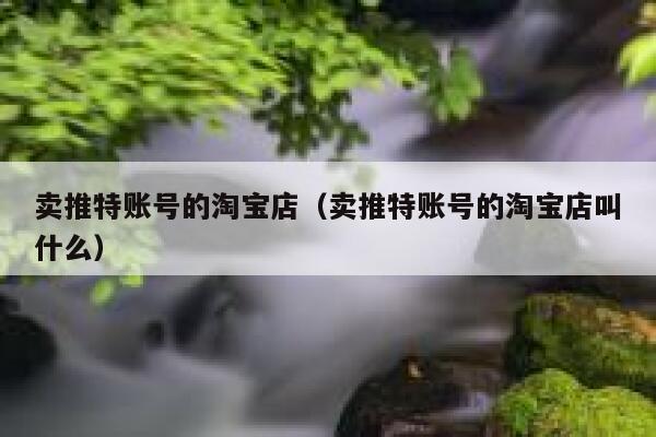 卖推特账号的淘宝店（卖推特账号的淘宝店叫什么） 第1张
