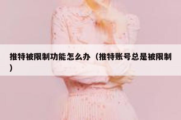 推特被限制功能怎么办（推特账号总是被限制） 第1张