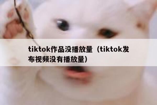 tiktok作品没播放量（tiktok发布视频没有播放量） 第1张