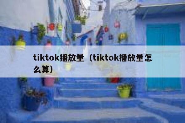 tiktok播放量（tiktok播放量怎么算） 第1张