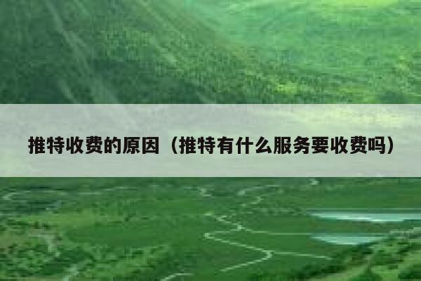 推特收费的原因（推特有什么服务要收费吗） 第1张