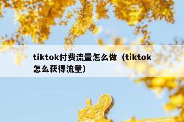 tiktok付费流量怎么做（tiktok怎么获得流量） 第1张